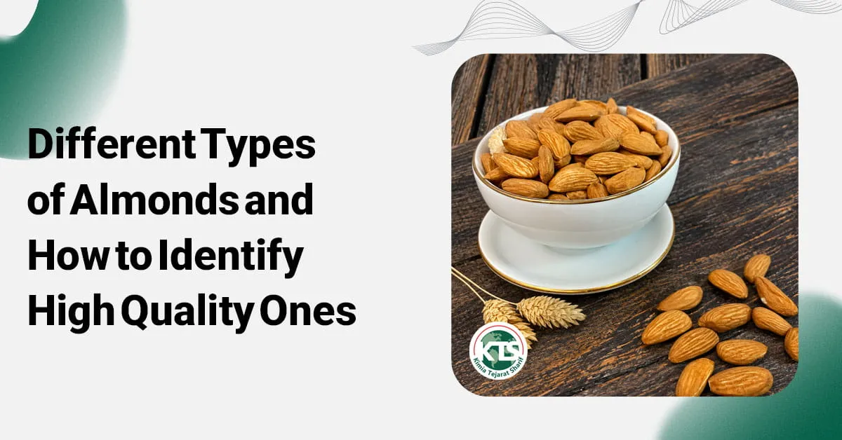 Different Types of Almonds and How to Identify High Quality Ones