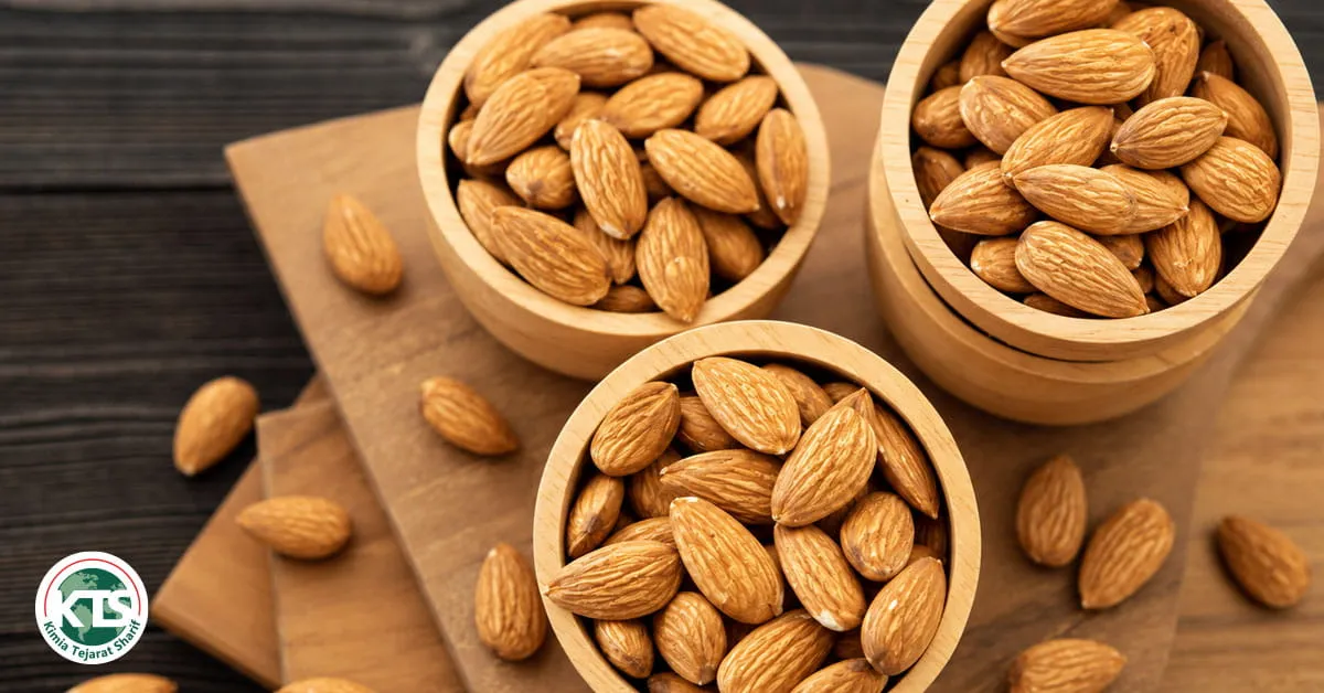 Bulk Almond Supplier