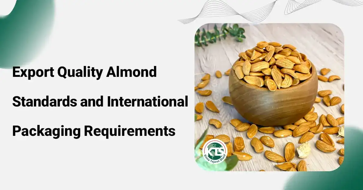 Export Quality Almond Standards and International Packaging Requirements