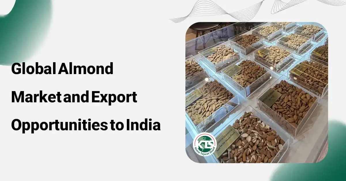 Global Almond Market and Export Opportunities to India
