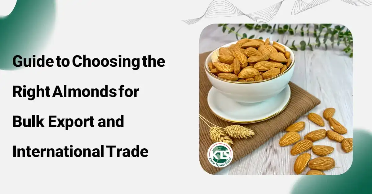 Guide to Choosing the Right Almonds for Bulk Export and International Trade