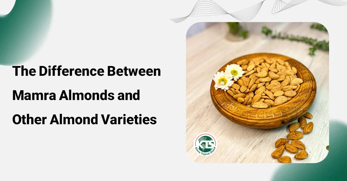 The Difference Between Mamra Almonds and Other Almond Varieties