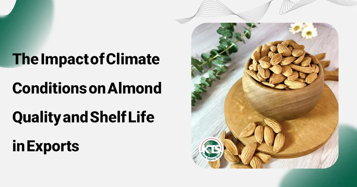 The Impact of Climate Conditions on Almond Quality and Shelf Life in Exports