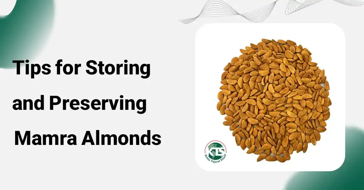 Tips for Storing and Preserving Mamra Almonds