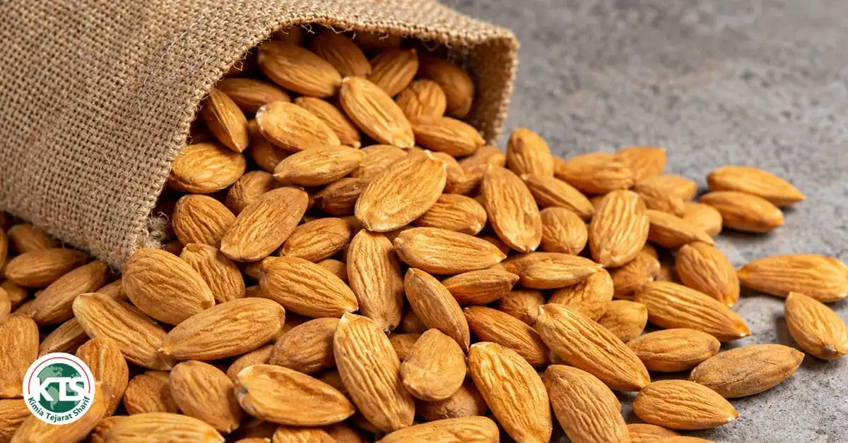 almond importers in India