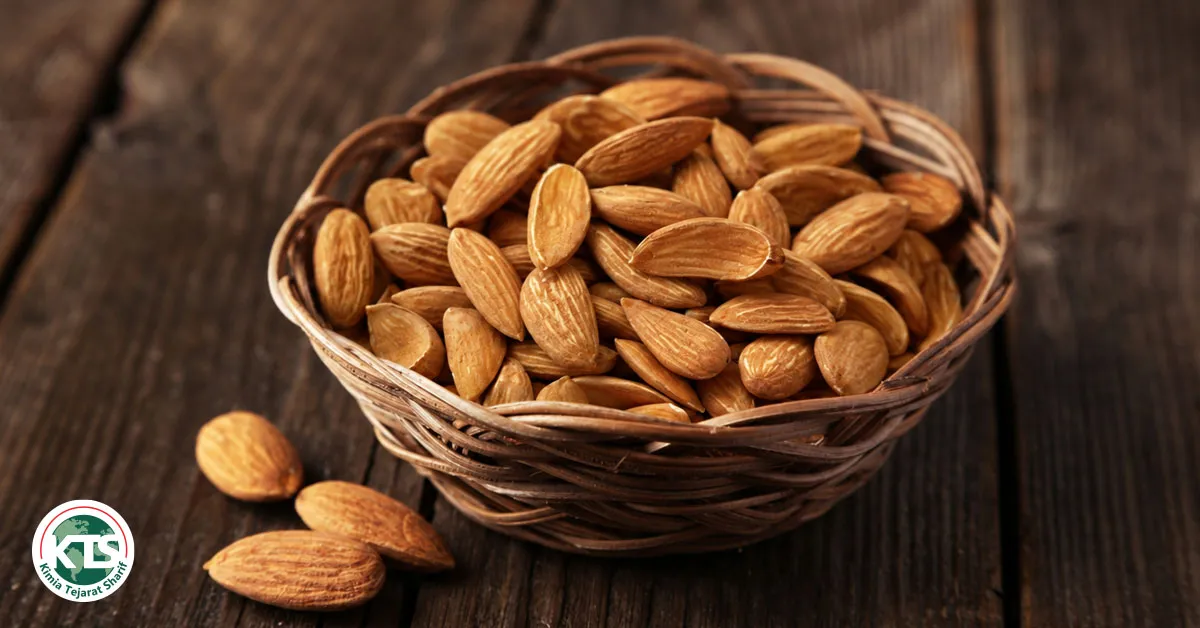 mamra badam vs normal badam