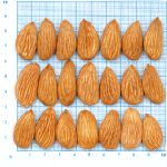 Mamra Almond 5A