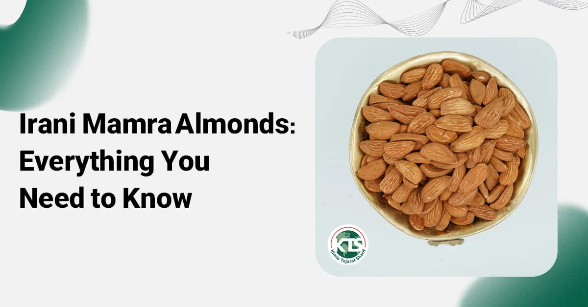 Irani Mamra Almonds