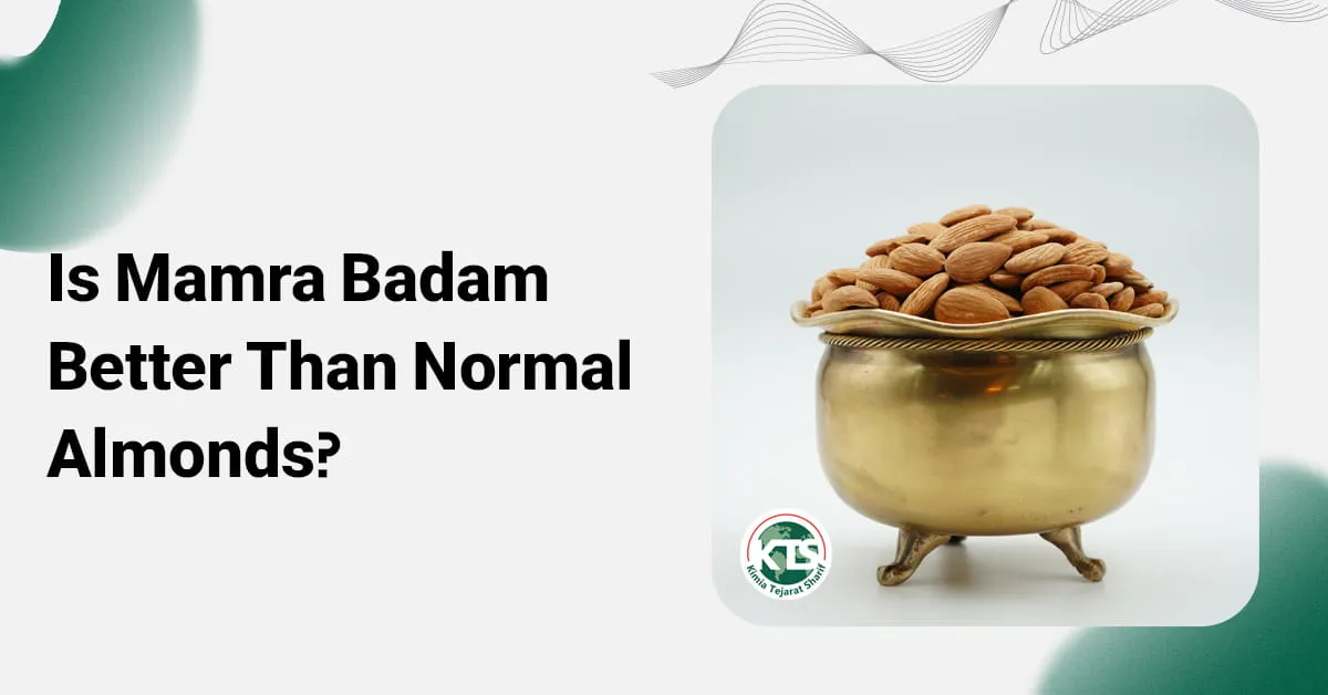 Is Mamra Badam Better Than Normal Almonds