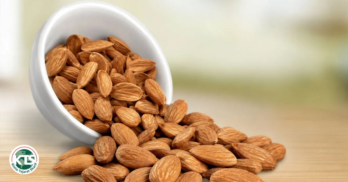 Dry Fruits in a Woman's Daily Diet