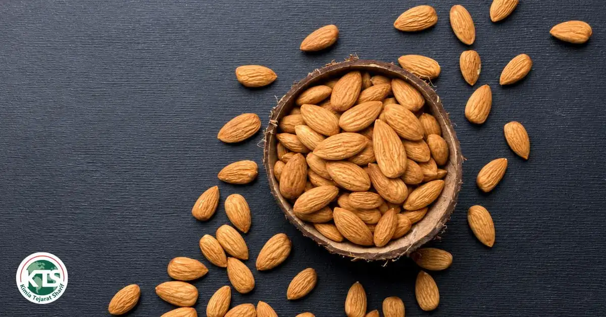 What Makes Mamra Almonds Different