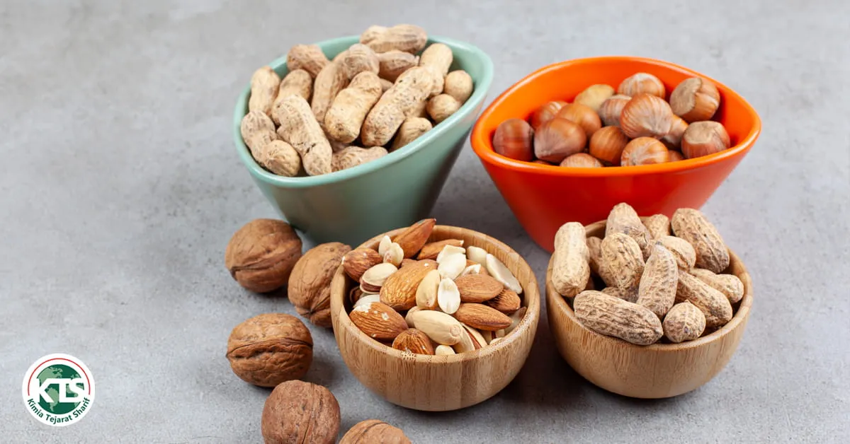 nuts for kids kts trading