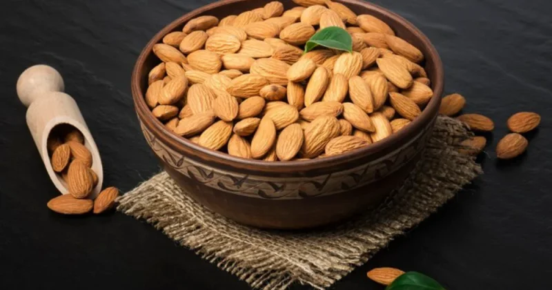 The Difference Between Mamra Almonds and Other Almond Varieties